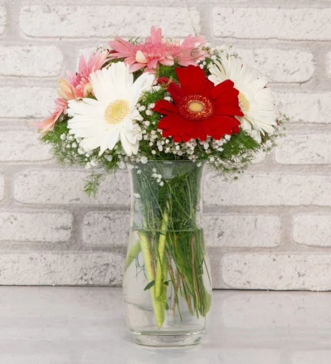 Vazoda Düş Prensesi Gerbera