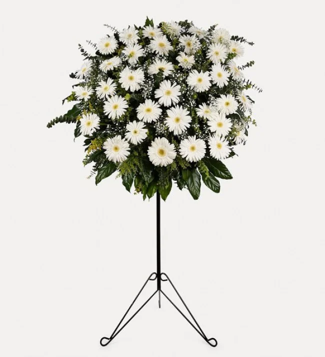 Beyaz Gerbera Ferforje Aranjmanı